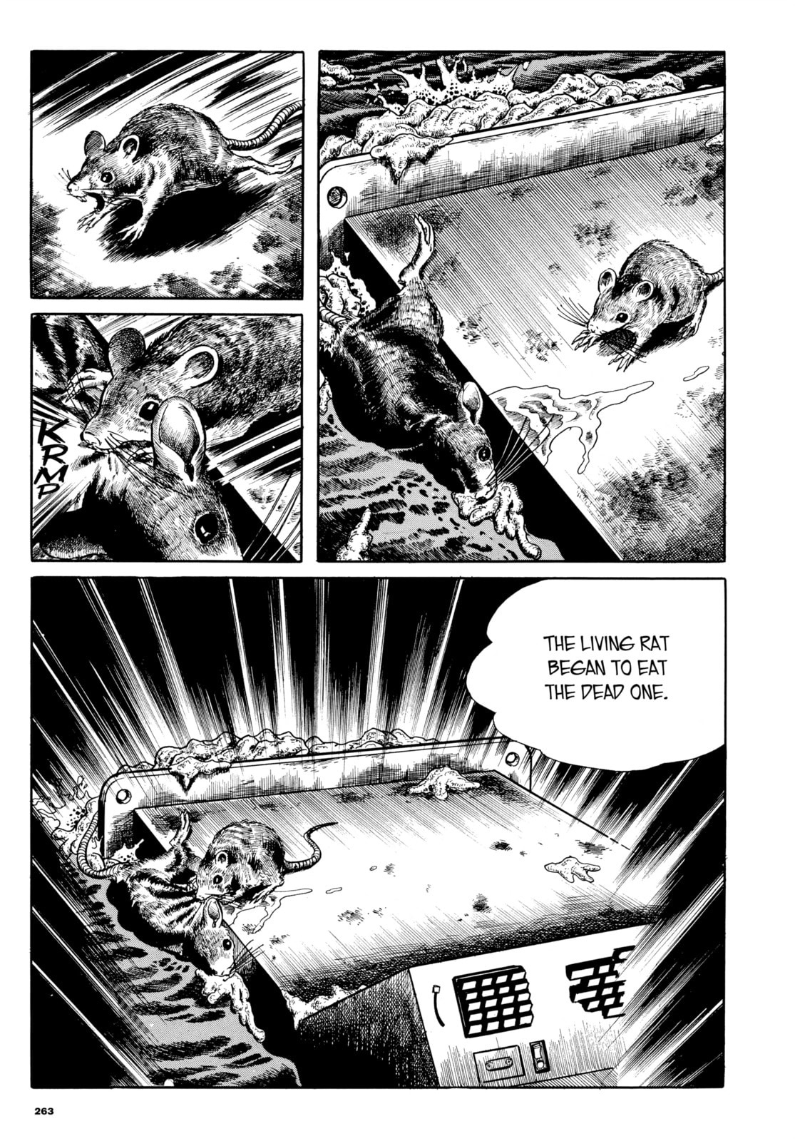 Read My Name is Shingo chapter 44 image 15 on Lezhin