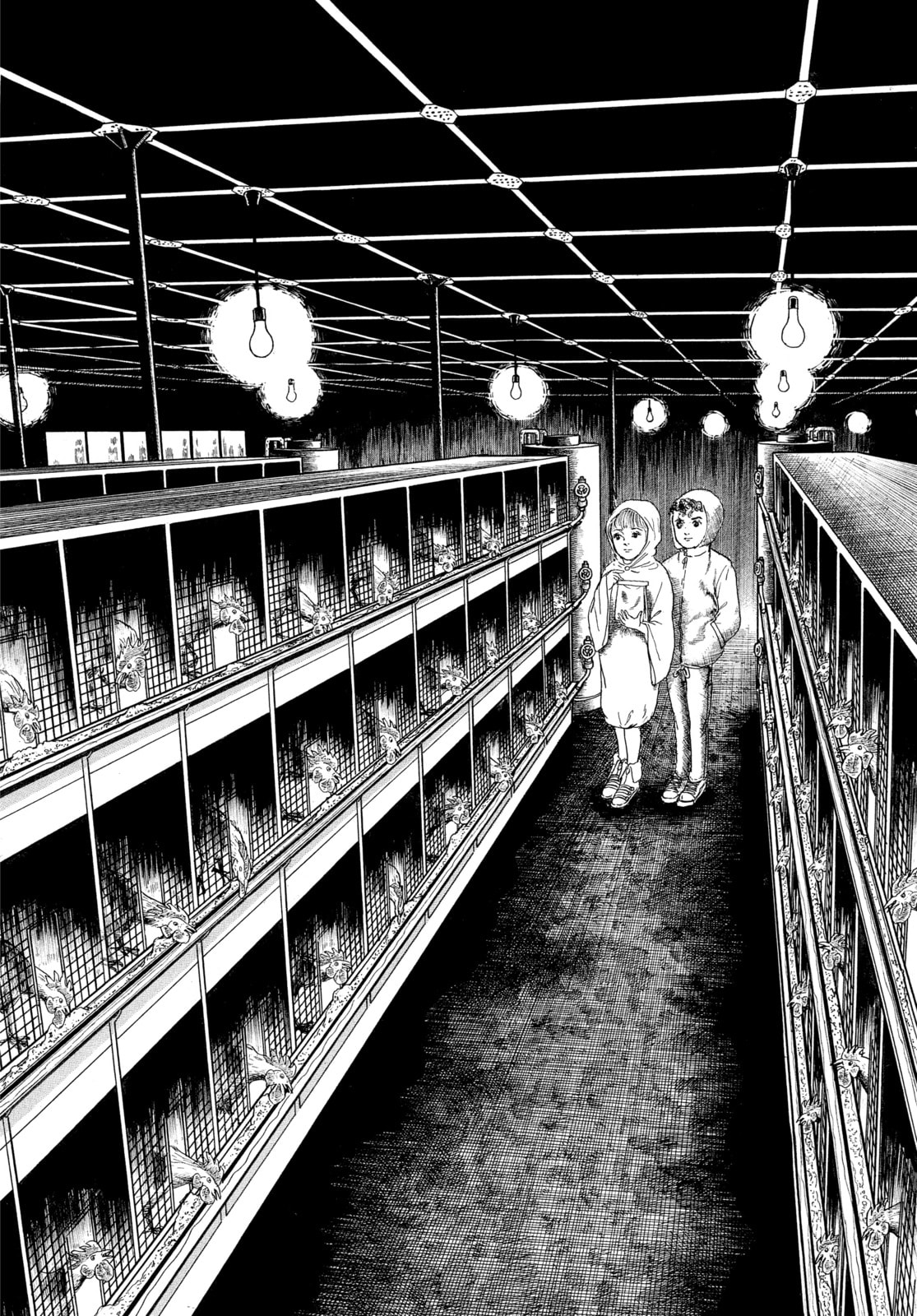 Read My Name is Shingo chapter 46 image 2 on Lezhin