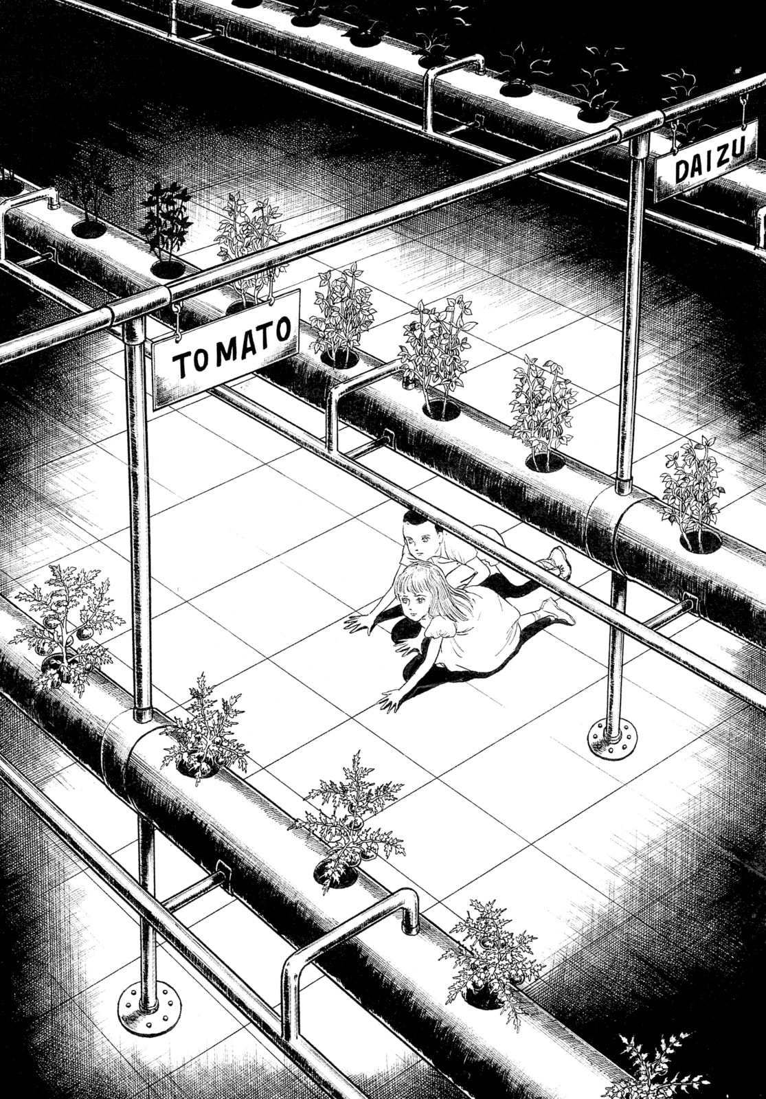 Read My Name is Shingo chapter 81 image 2 on Lezhin