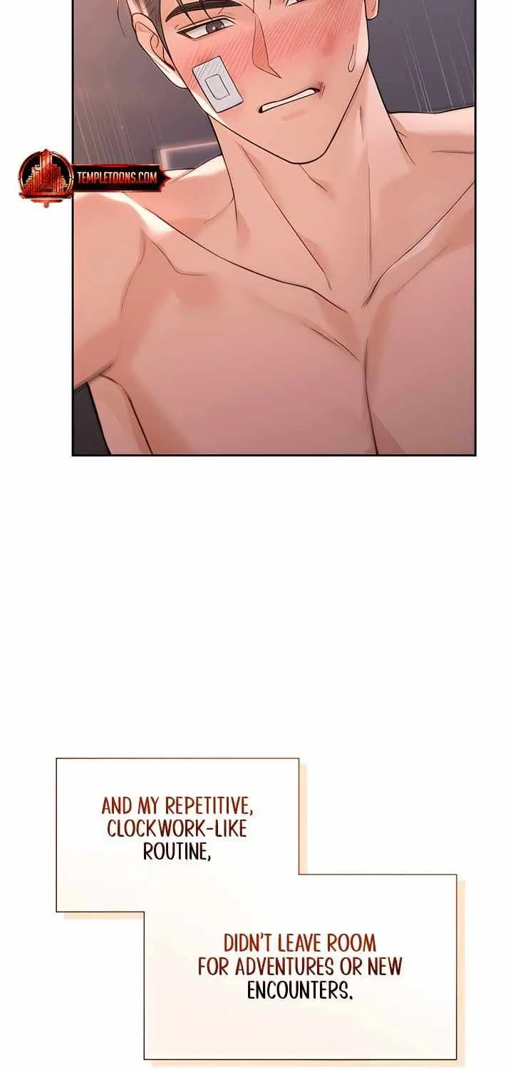 My Overly Sweet Boss Chapter 15 page 5 - 