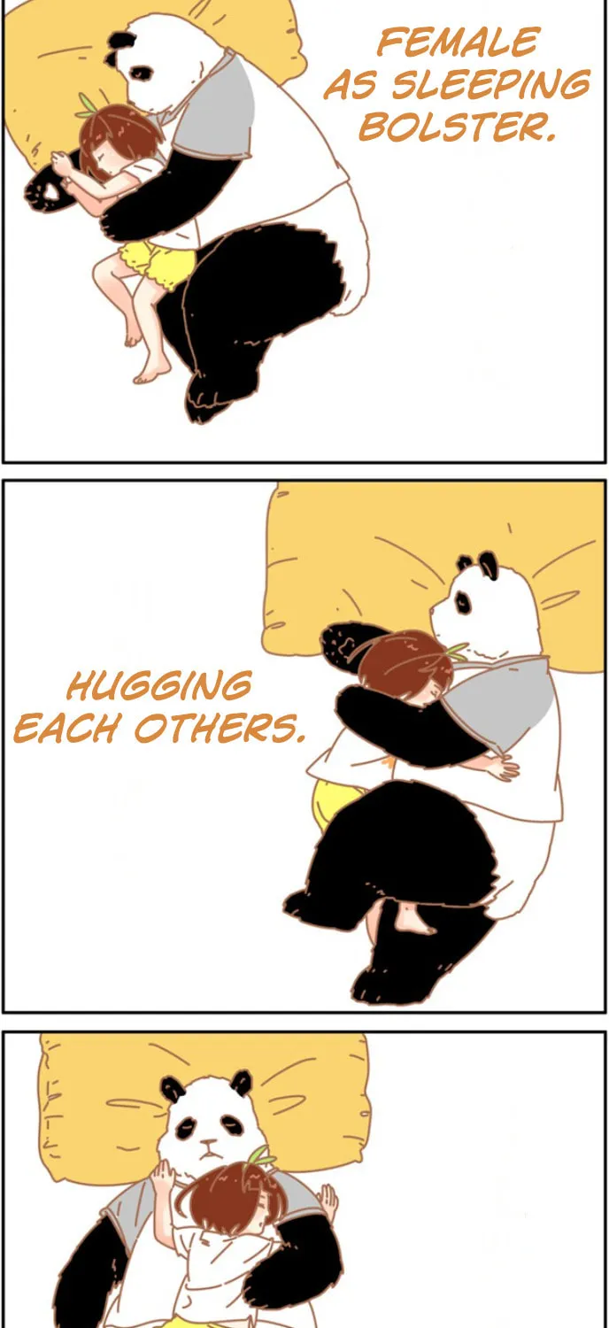 My Panda Boyfriend (Colored) Chapter 19 page 3 - 