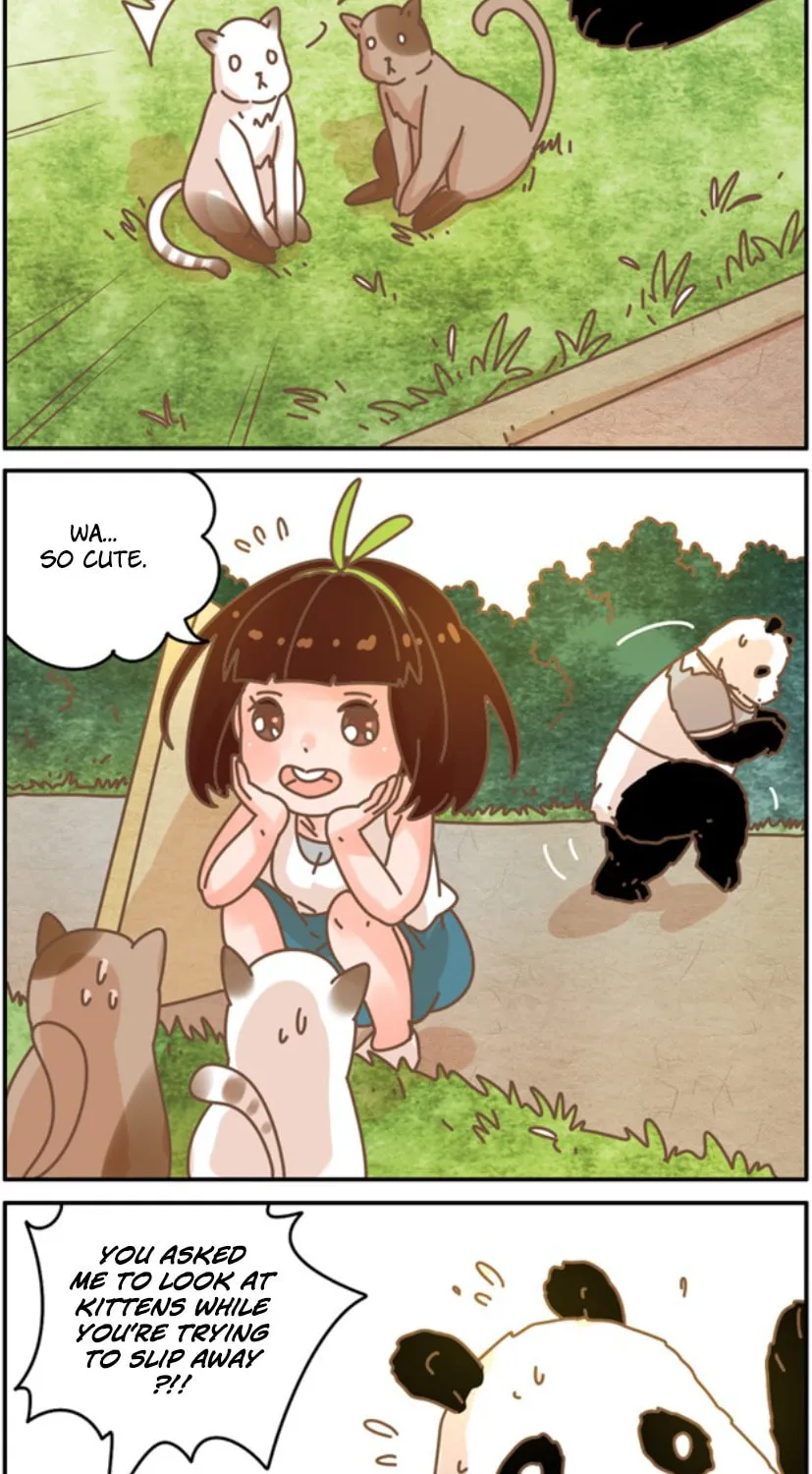 My Panda Boyfriend (Colored) Chapter 23 page 3 - 