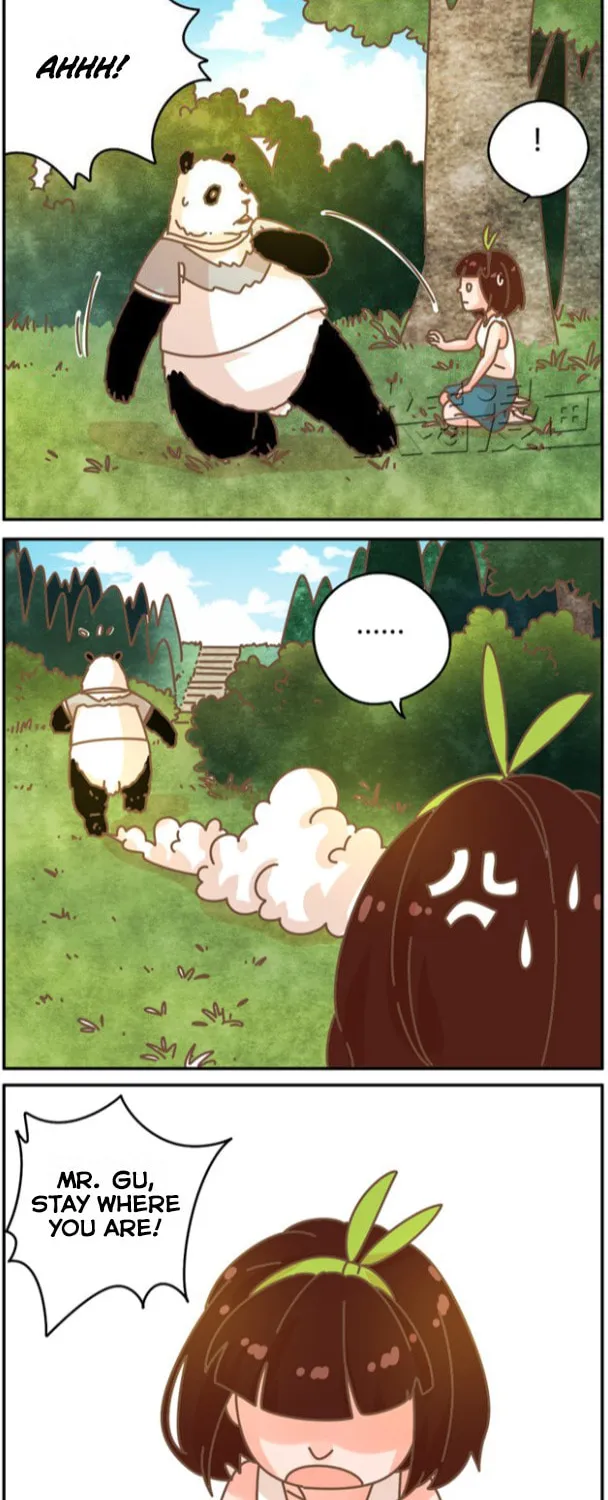 My Panda Boyfriend (Colored) Chapter 24 page 2 - 