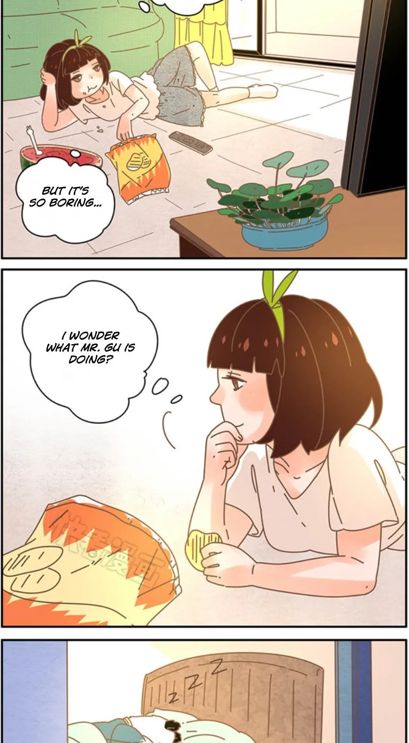 My Panda Boyfriend (Colored) Chapter 33 page 2 - 