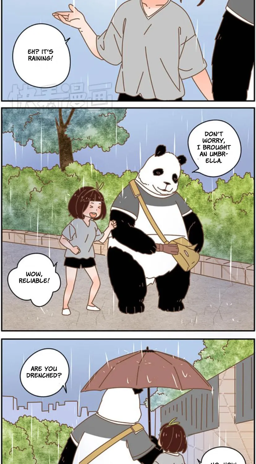 My Panda Boyfriend (Colored) Chapter 34 page 12 - 