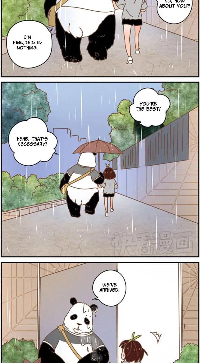 My Panda Boyfriend (Colored) Chapter 34 page 13 - 