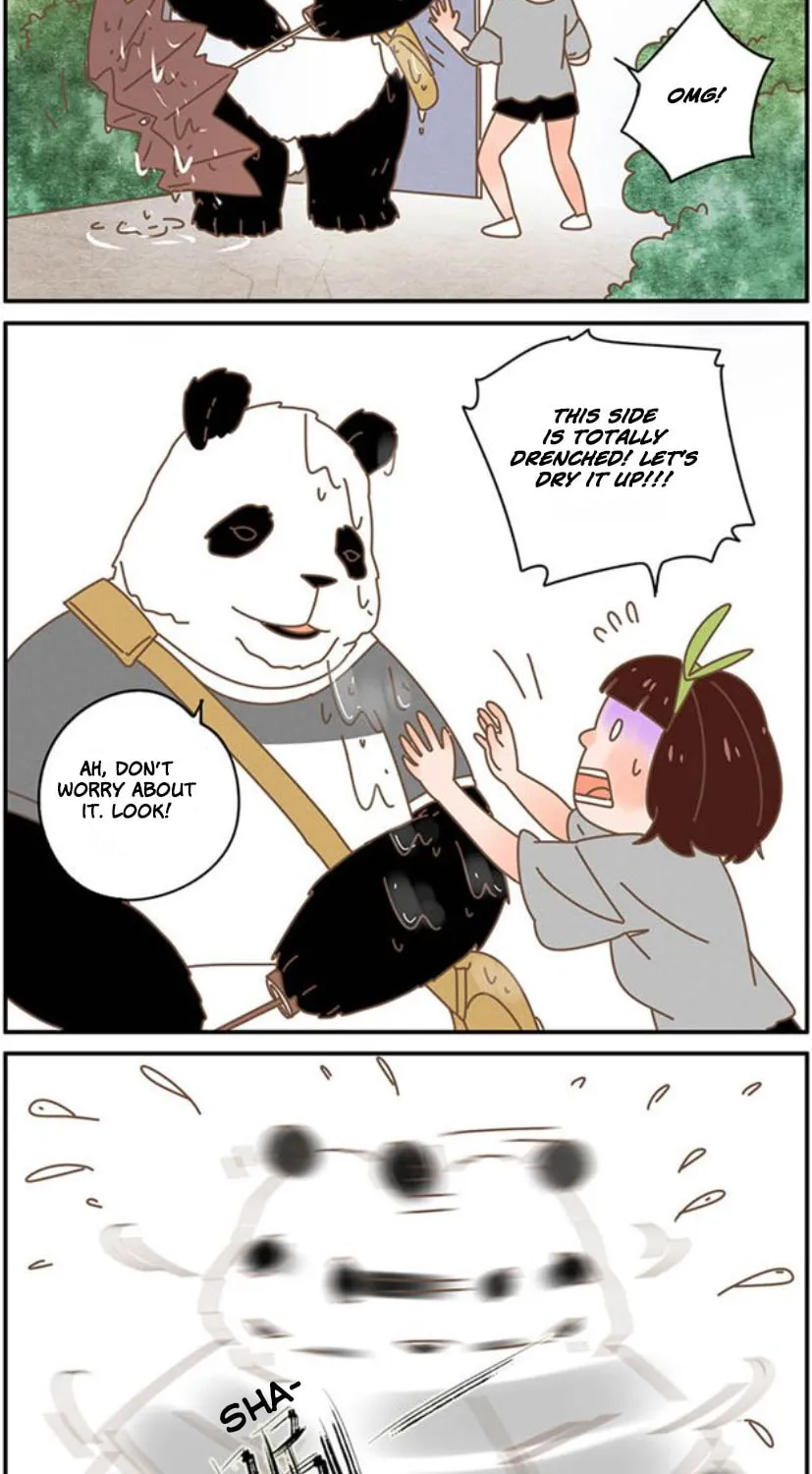 My Panda Boyfriend (Colored) Chapter 34 page 14 - 