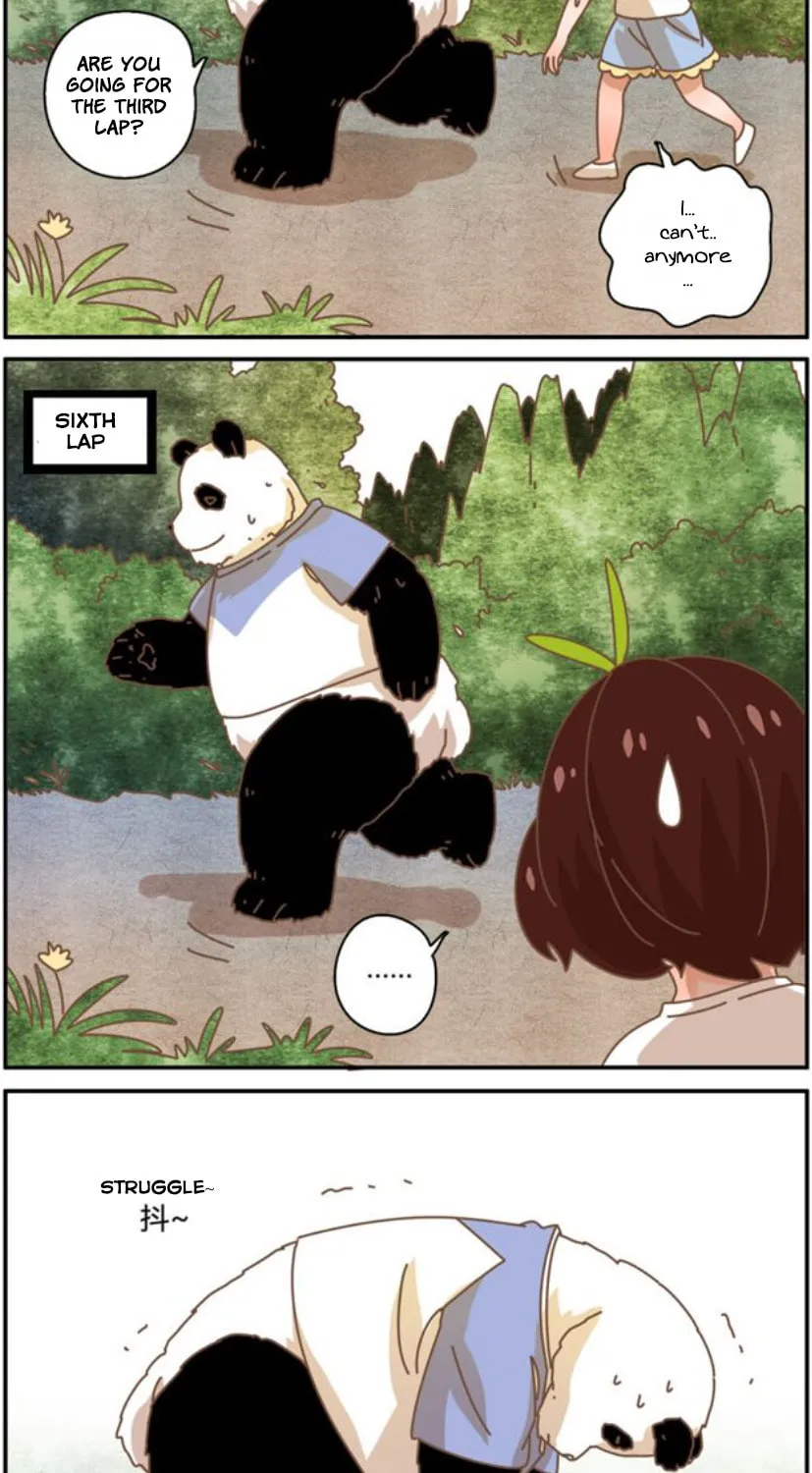 My Panda Boyfriend (Colored) Chapter 34 page 3 - 
