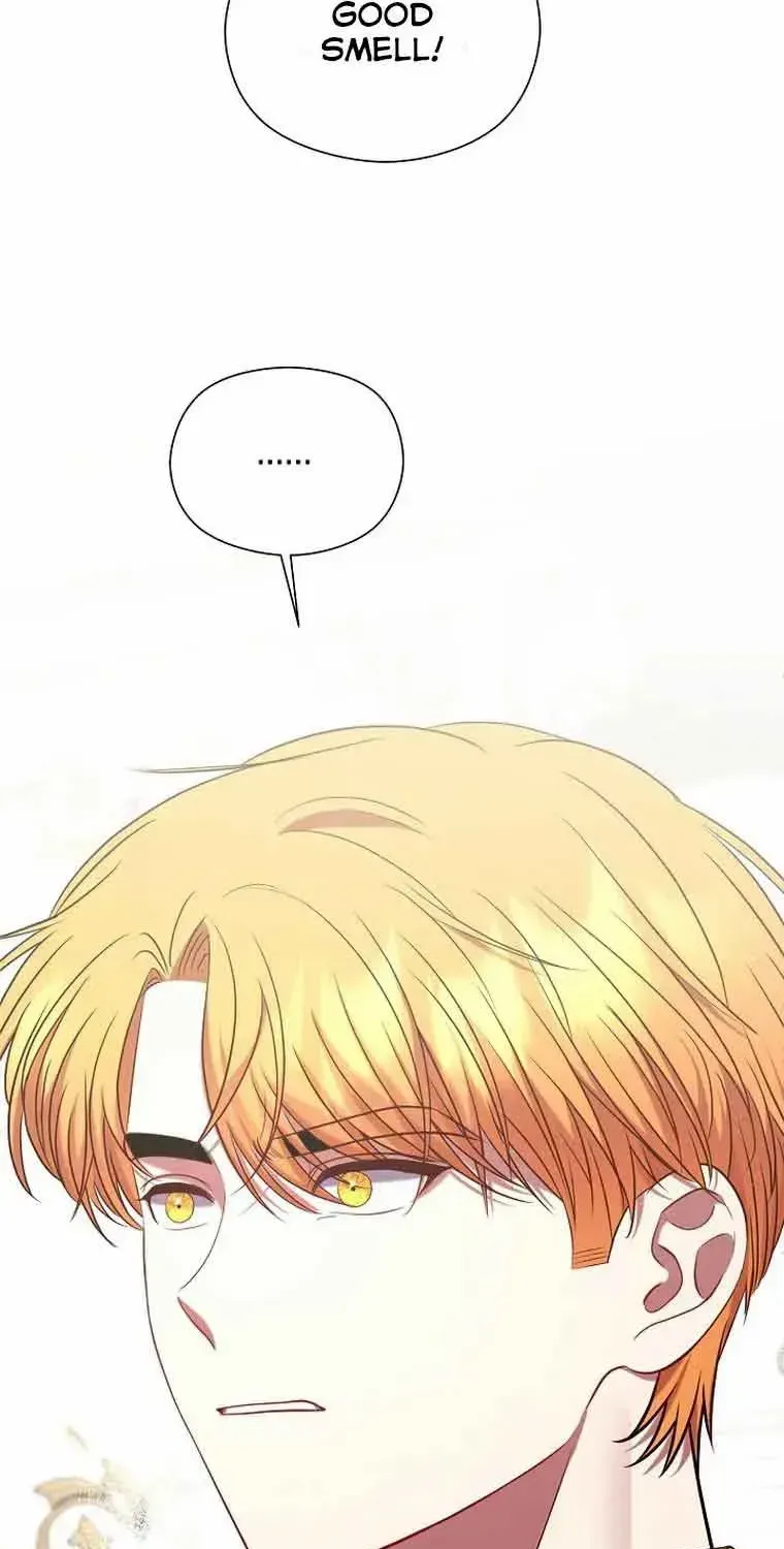 Read My Pet Maid chapter 3 image 34 on Lezhin