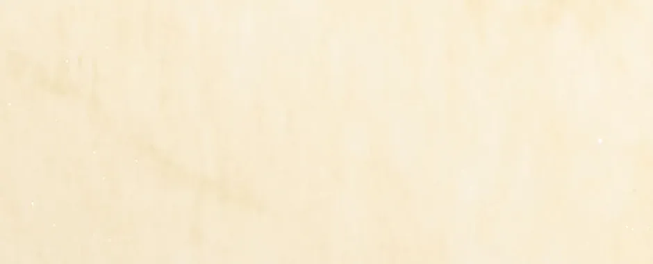 Read My Pet Maid chapter 55 image 145 on Lezhin