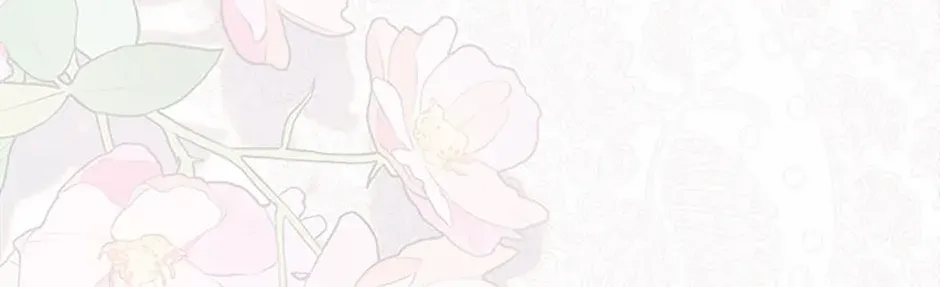 Read My Pet Maid chapter 70 image 136 on Lezhin
