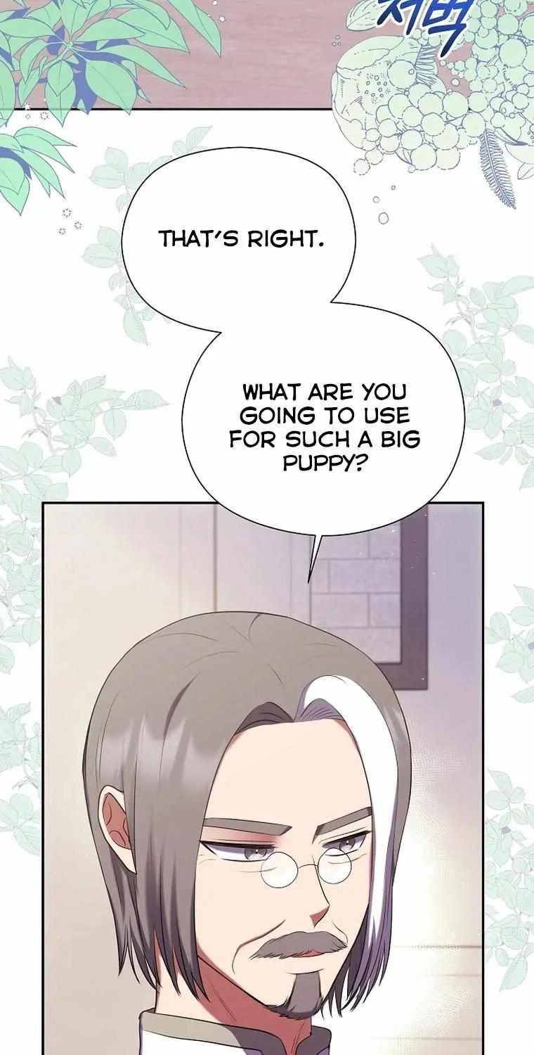 Read My Pet Maid chapter 8 image 4 on Lezhin