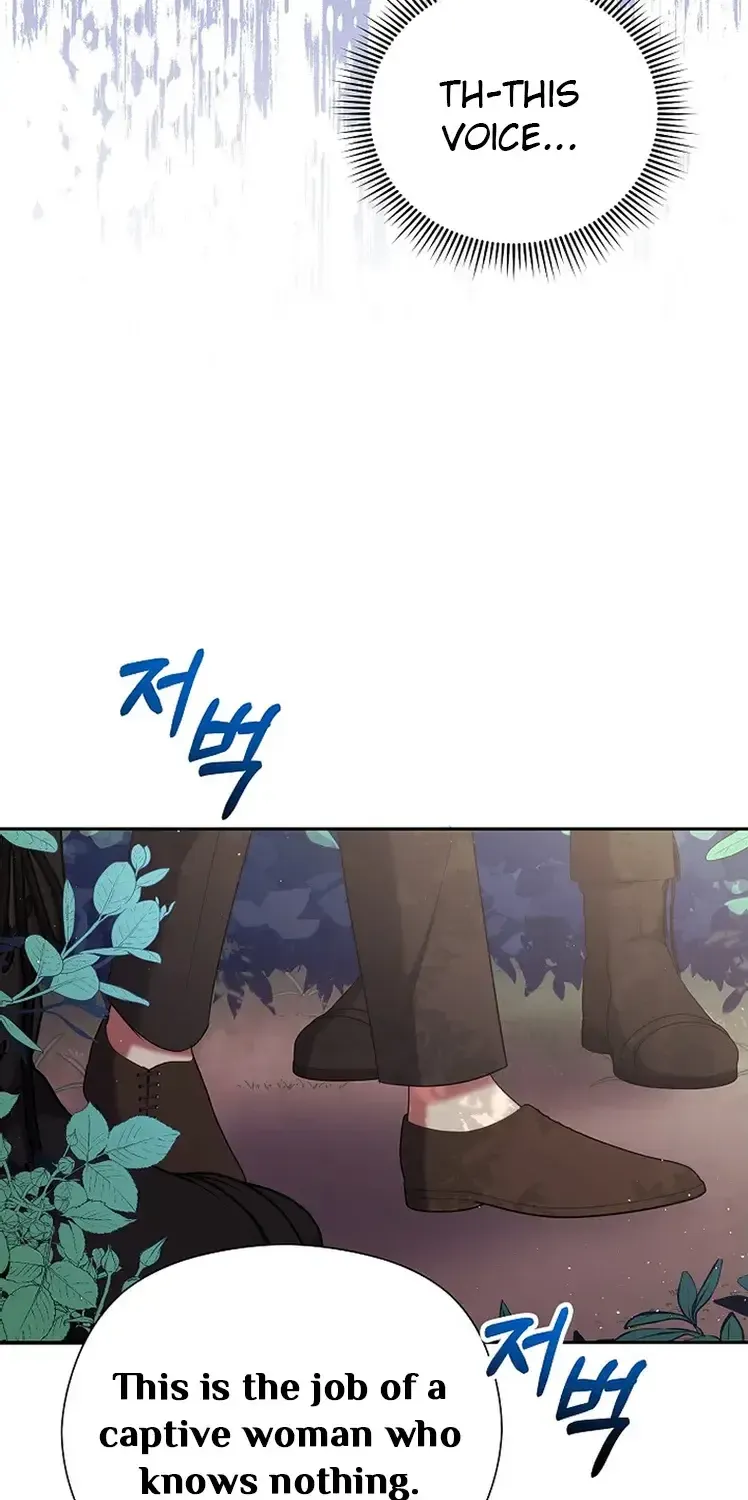 My Pet Miad Chapter 10 page 59 - 