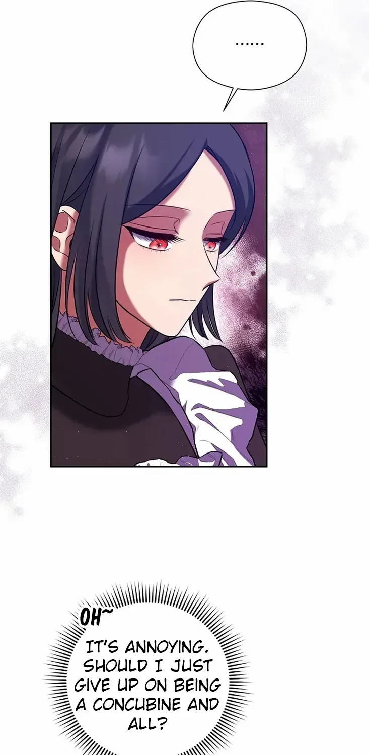 My Pet Miad Chapter 15 page 61 - 