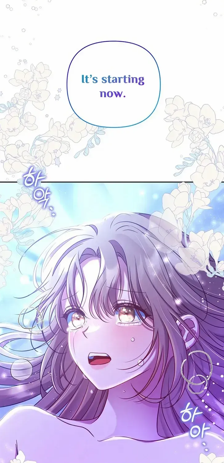My Pet Miad Chapter 17 page 43 - 