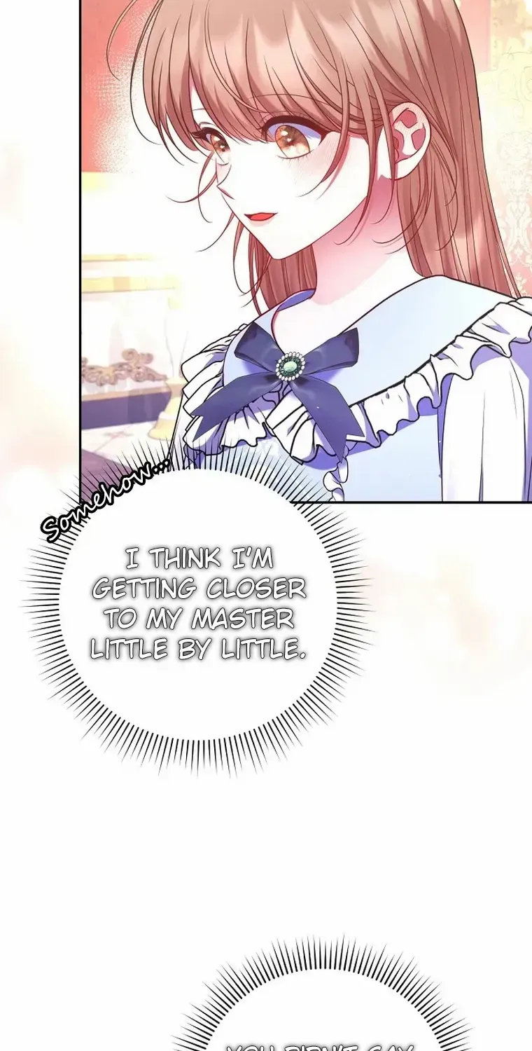 My Pet Miad Chapter 19 page 95 - 