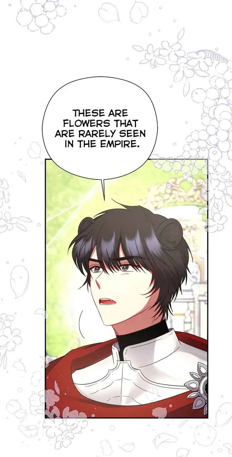 My Pet Miad Chapter 2 page 34 - 