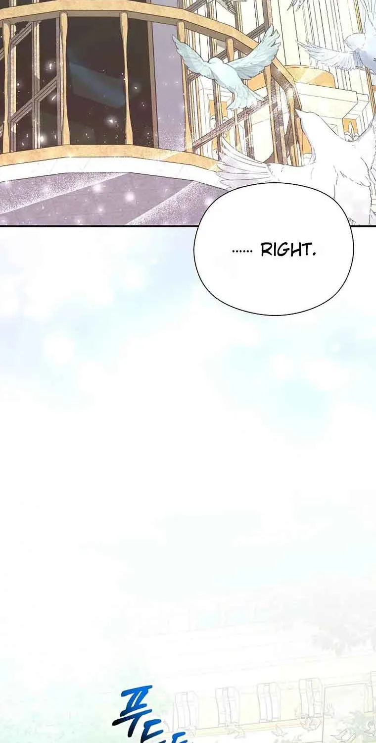 My Pet Miad Chapter 2 page 45 - 