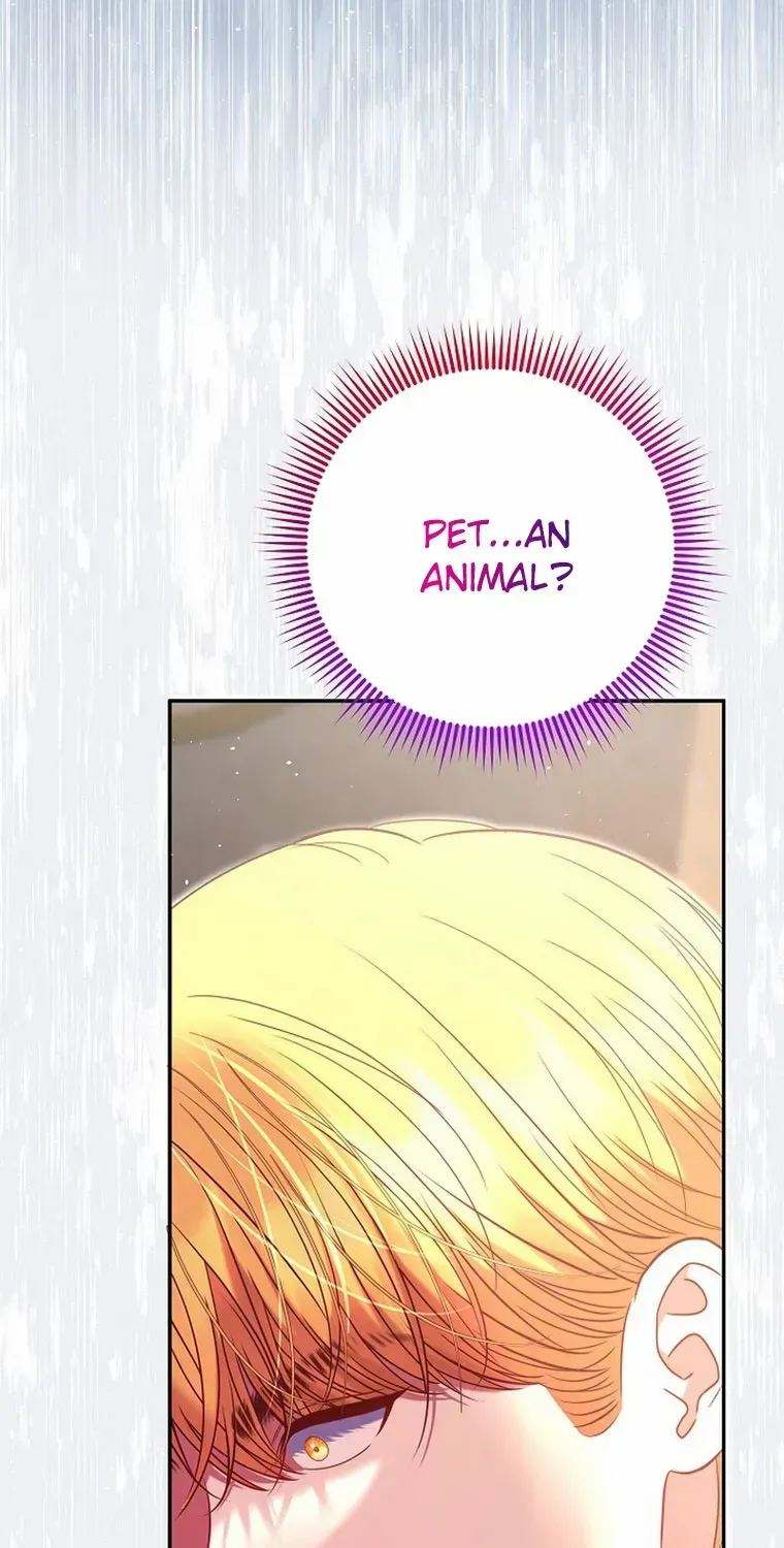 My Pet Miad Chapter 29 page 47 - 