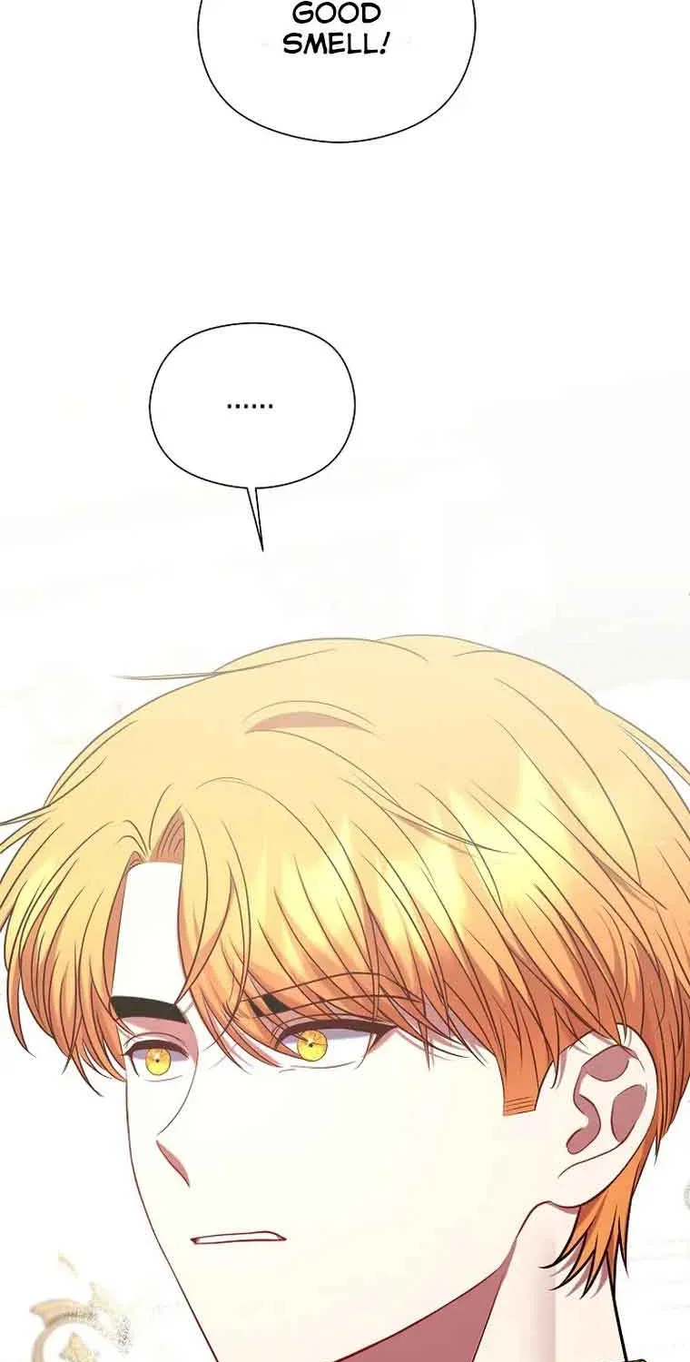 My Pet Miad Chapter 3 page 34 - 