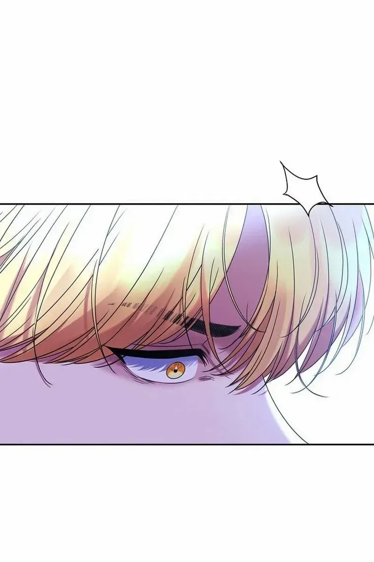 My Pet Miad Chapter 30 page 81 - 