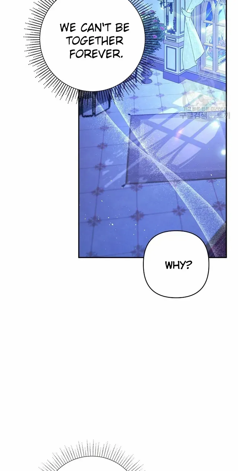 My Pet Miad Chapter 34 page 69 - 