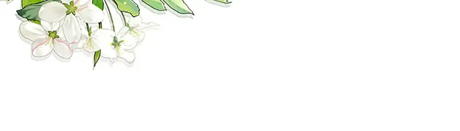 My Pet Miad Chapter 41 page 49 - 