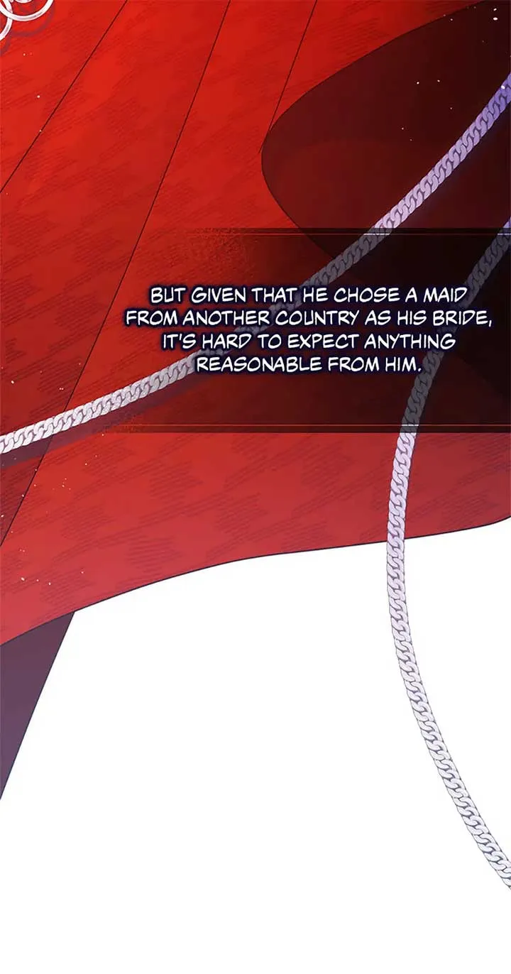 My Pet Miad Chapter 50 page 47 - 