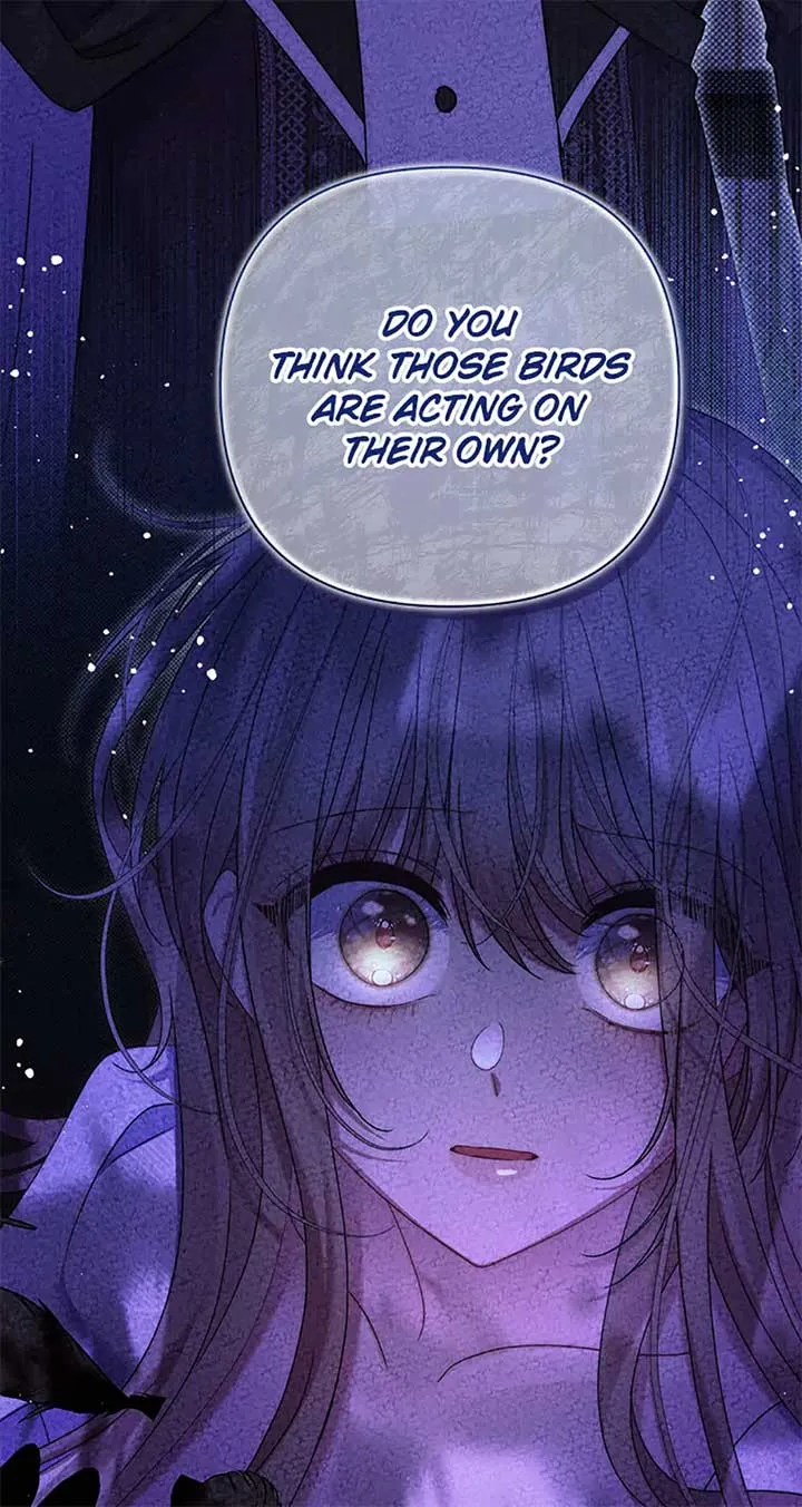 My Pet Miad Chapter 50 page 71 - 