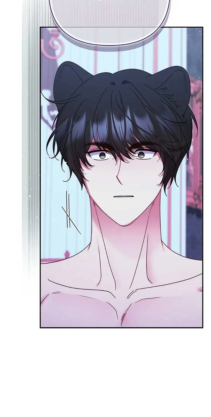 My Pet Miad Chapter 52 page 106 - 