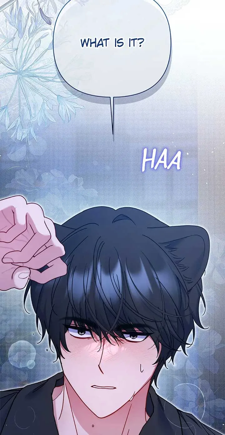 My Pet Miad Chapter 52 page 4 - 