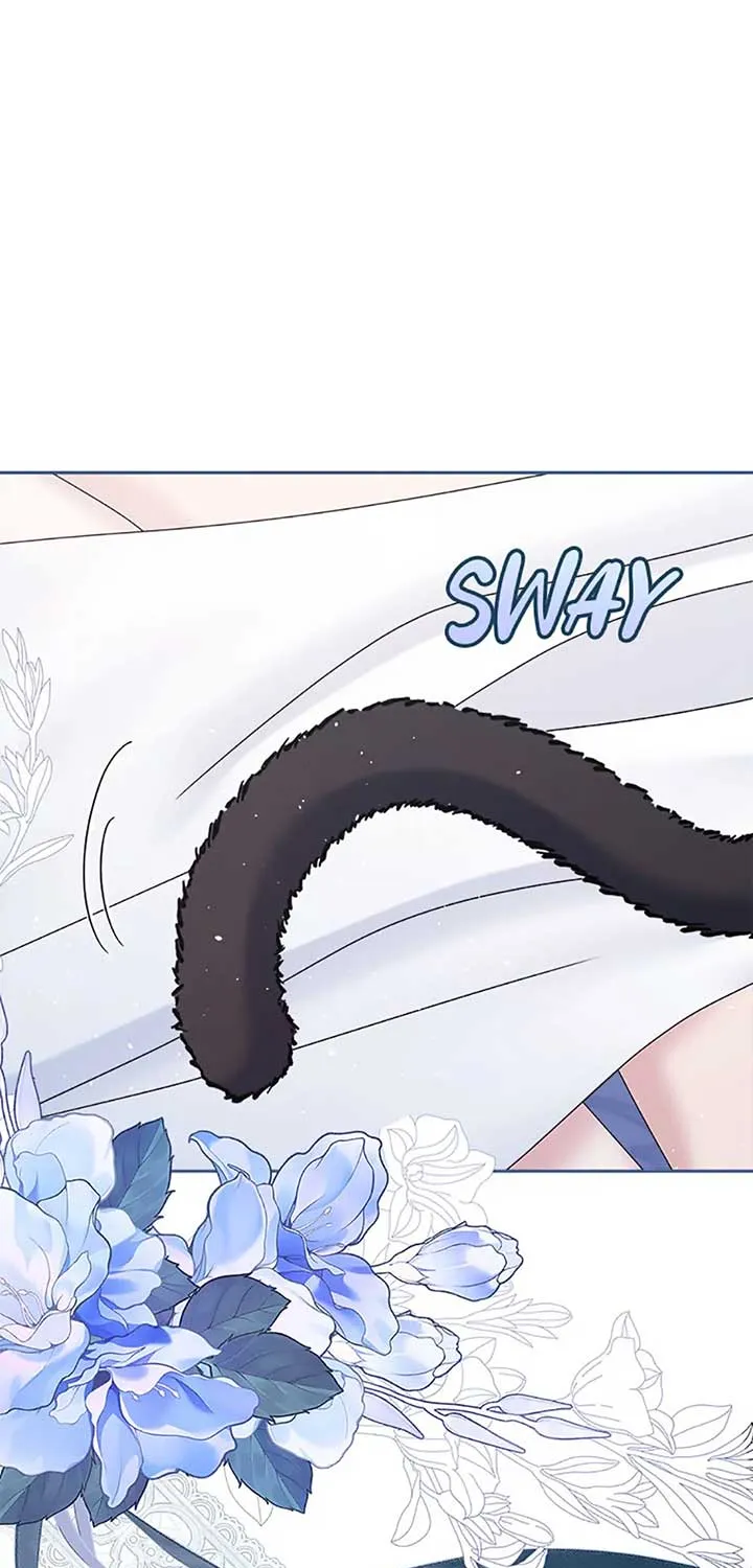 My Pet Miad Chapter 52 page 93 - 
