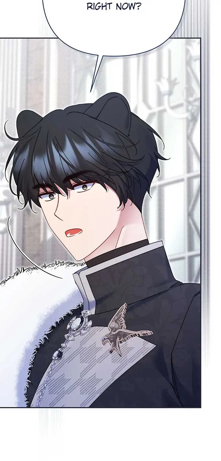My Pet Miad Chapter 53 page 74 - 