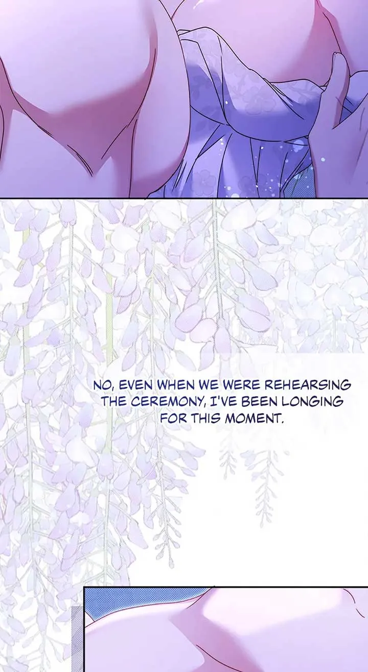 My Pet Miad Chapter 53 page 98 - 