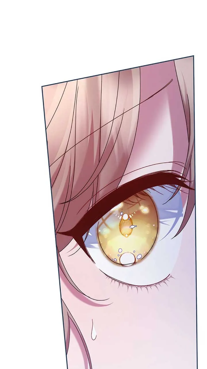 My Pet Miad Chapter 56 page 34 - 