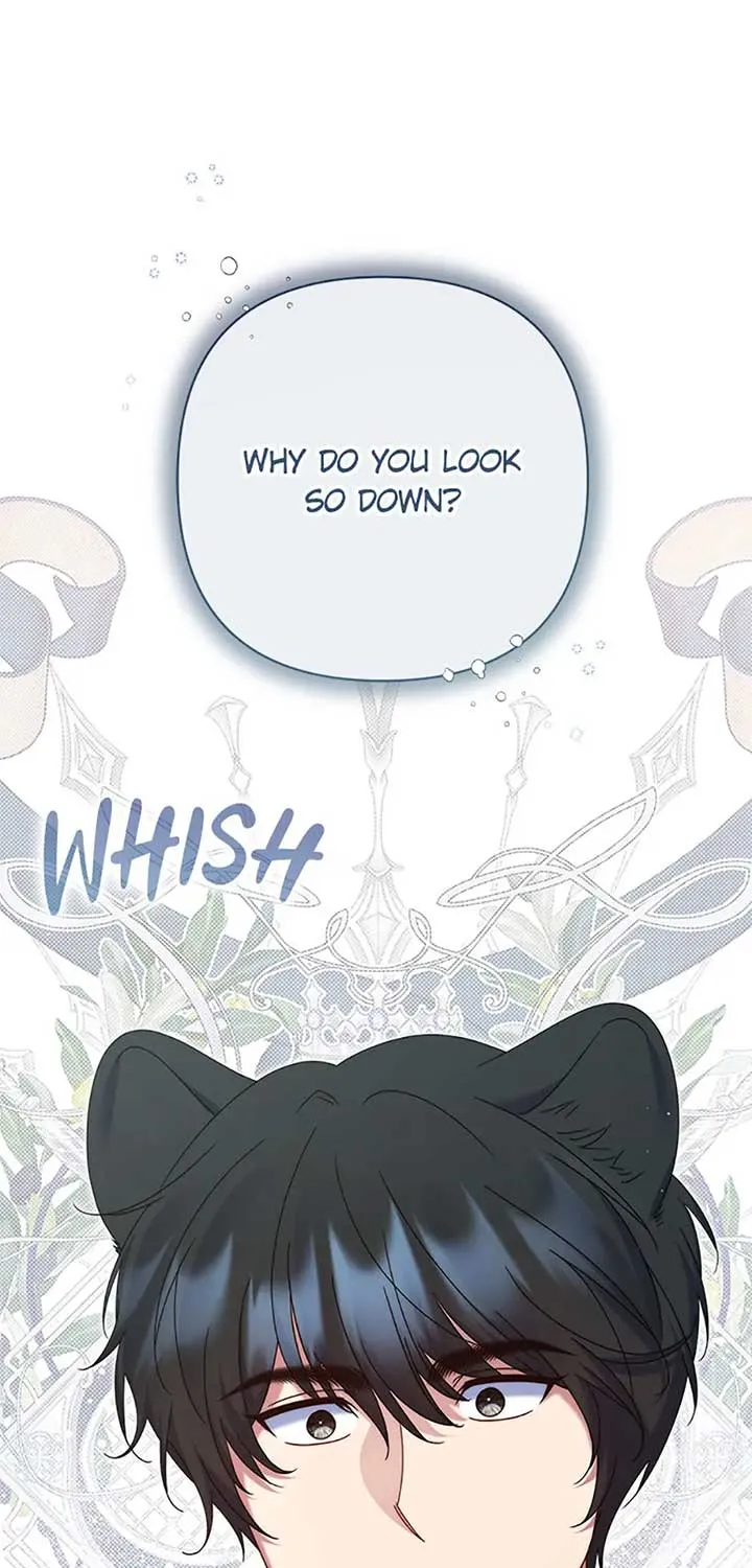My Pet Miad Chapter 59 page 52 - 