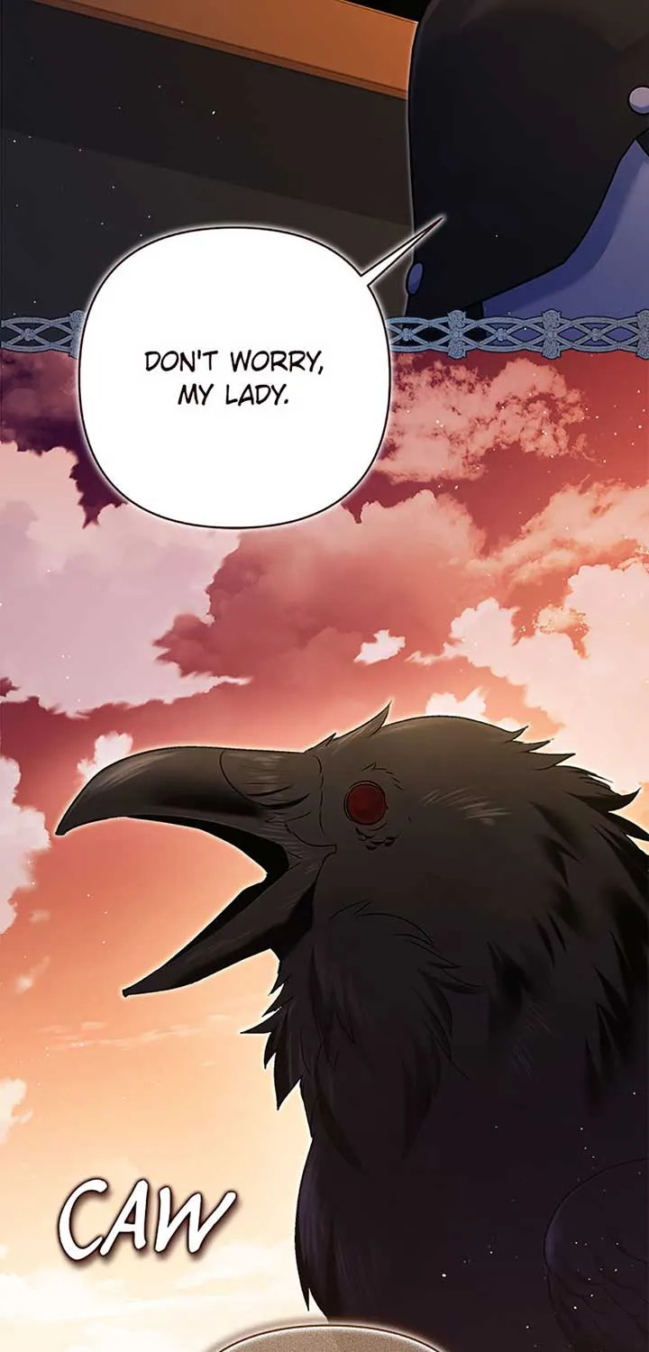 My Pet Miad Chapter 61 page 67 - 