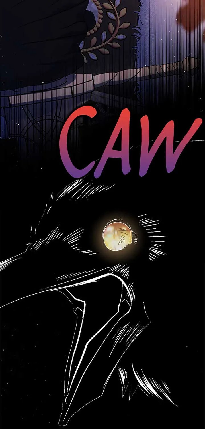 My Pet Miad Chapter 61 page 73 - 