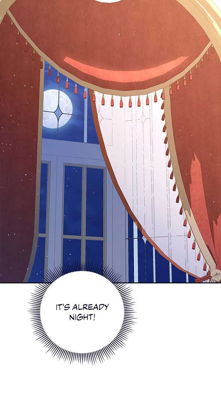 My Pet Miad Chapter 61 page 79 - 