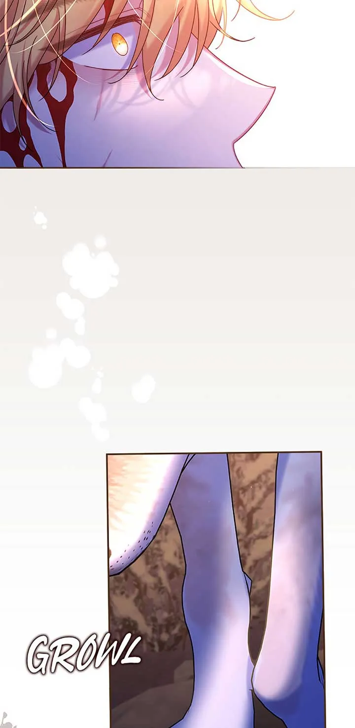 My Pet Miad Chapter 62 page 73 - 