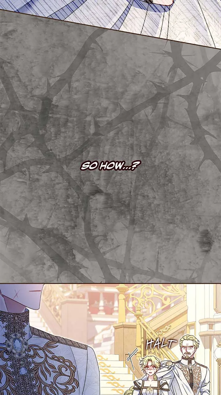My Pet Miad Chapter 64 page 5 - 