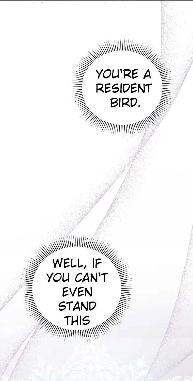 My Pet Miad Chapter 7 page 106 - 