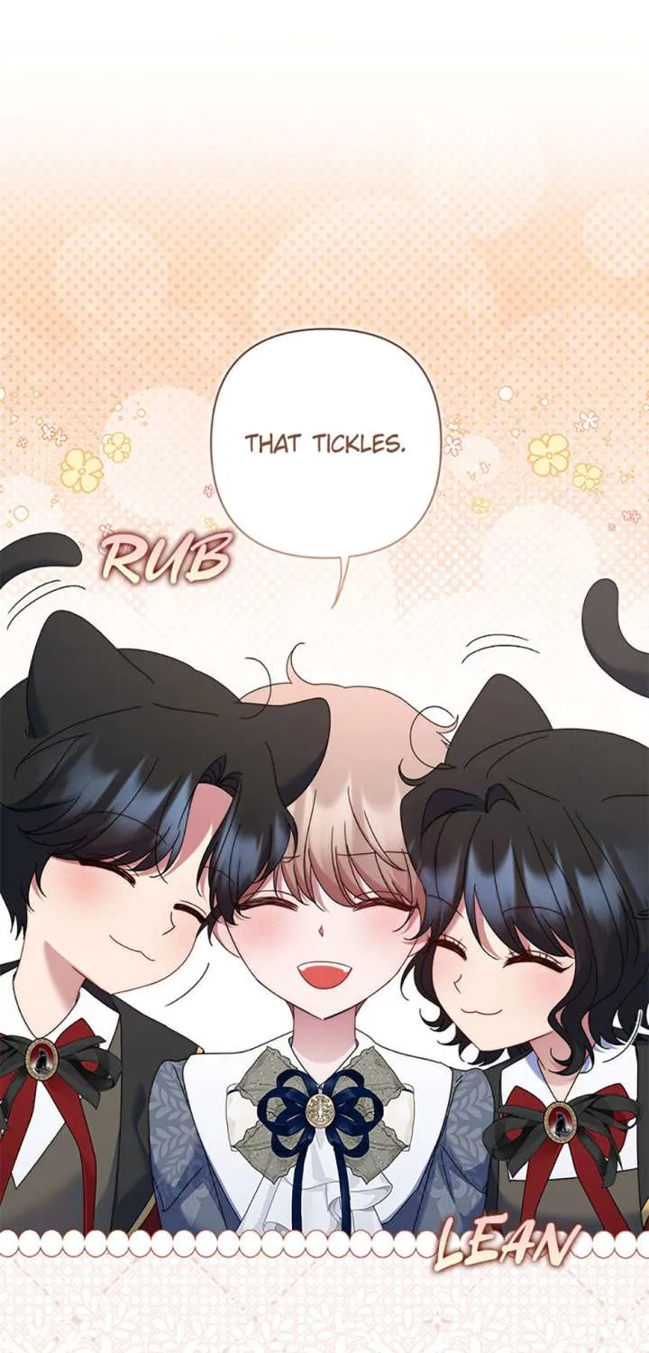My Pet Miad Chapter 70 page 91 - 