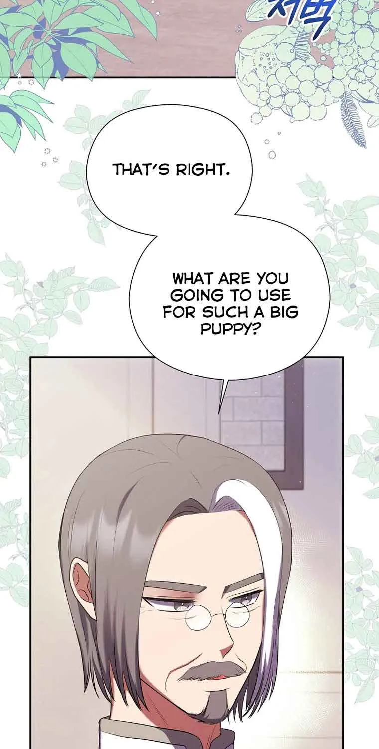 My Pet Miad Chapter 8 page 5 - 