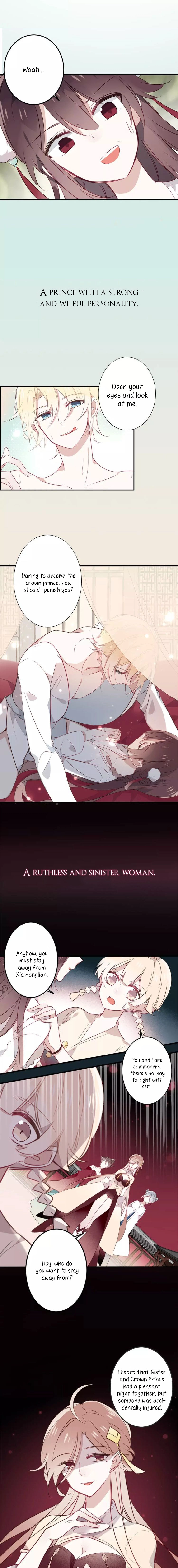 Read My Phoenix