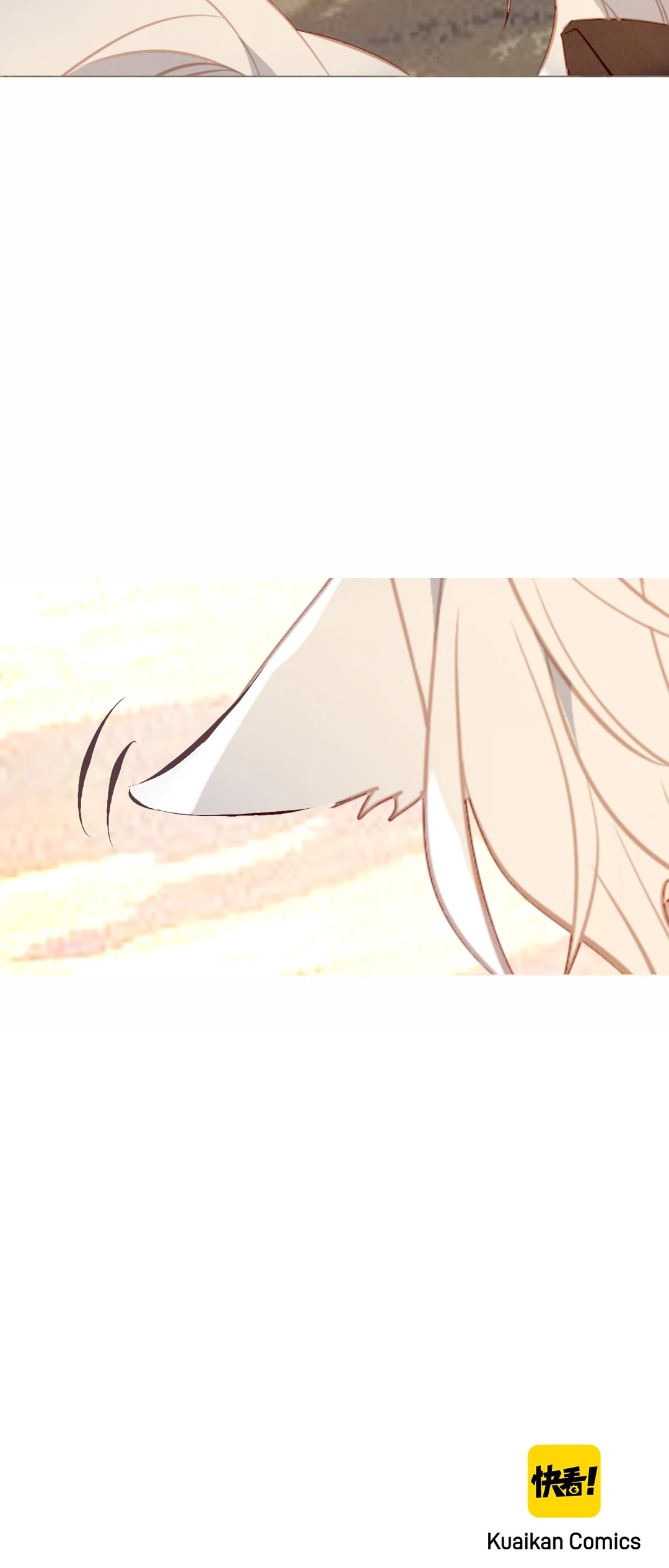 Read My Phoenix