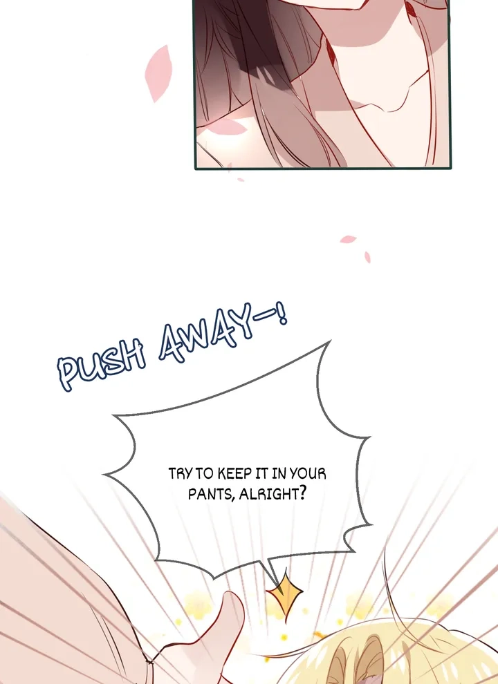 Read My Phoenix