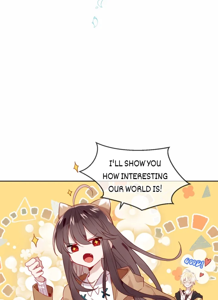 Read My Phoenix