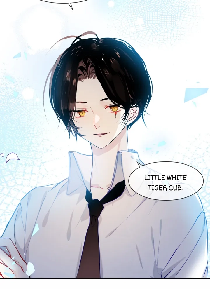 Read My Phoenix