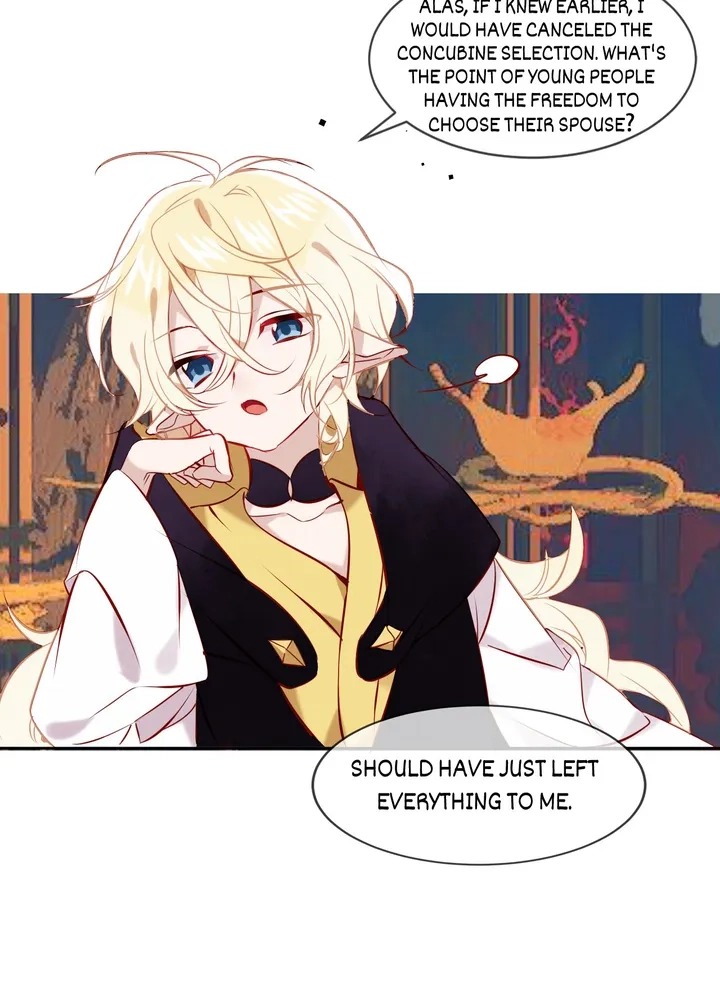 Read My Phoenix